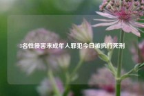 3名性侵害未成年人罪犯今日被执行死刑