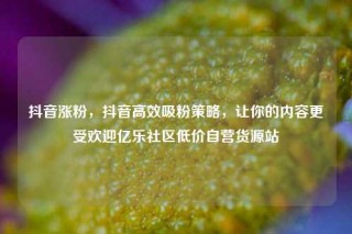 抖音涨粉，抖音高效吸粉策略，让你的内容更受欢迎亿乐社区低价自营货源站