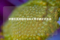 涉嫌在英首相住宅纵火男子被正式起诉