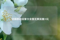 河南移动流量卡全国无限流量19元