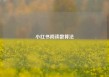 小红书阅读数算法