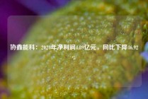 协鑫能科：2024年净利润4.89亿元，同比下降46.92%