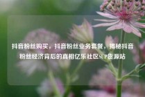 抖音粉丝购买，抖音粉丝业务套餐，揭秘抖音粉丝经济背后的真相亿乐社区SUP货源站