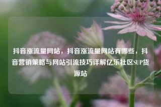 抖音涨流量网站，抖音涨流量网站有哪些，抖音营销策略与网站引流技巧详解亿乐社区SUP货源站
