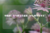 特朗普：在与普京会面前“什么都不会发生”