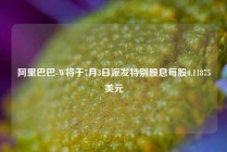阿里巴巴-W将于7月3日派发特别股息每股0.11875美元