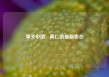 事关中国，黄仁勋最新表态