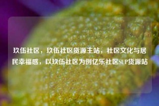 玖伍社区，玖伍社区货源主站，社区文化与居民幸福感，以玖伍社区为例亿乐社区SUP货源站