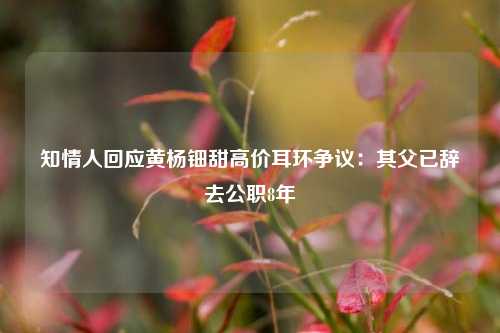 知情人回应黄杨钿甜高价耳环争议：其父已辞去公职8年  第1张