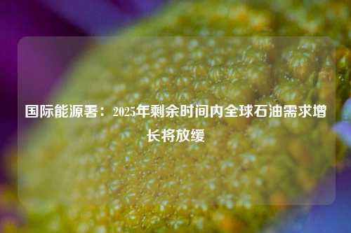 国际能源署：2025年剩余时间内全球石油需求增长将放缓  第1张