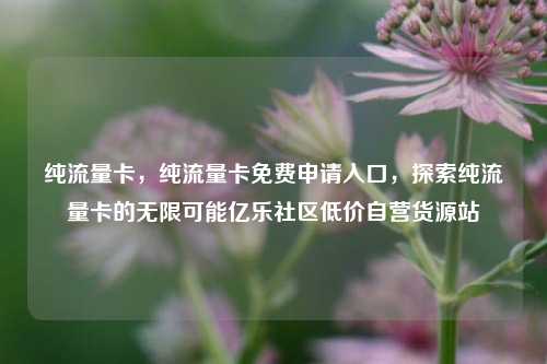 纯流量卡，纯流量卡免费申请入口	，探索纯流量卡的无限可能亿乐社区低价自营货源站  第1张