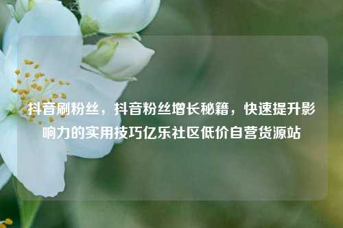 抖音刷粉丝，抖音粉丝增长秘籍，快速提升影响力的实用技巧亿乐社区低价自营货源站  第1张