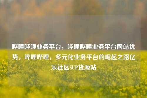 哔哩哔哩业务平台	，哔哩哔哩业务平台网站优势，哔哩哔哩，多元化业务平台的崛起之路亿乐社区SUP货源站  第1张