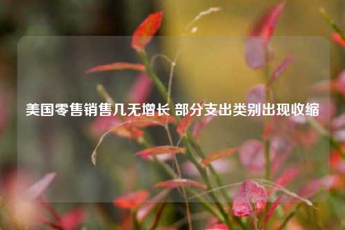 美国零售销售几无增长 部分支出类别出现收缩  第1张