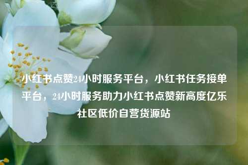 小红书点赞24小时服务平台	，小红书任务接单平台，24小时服务助力小红书点赞新高度亿乐社区低价自营货源站  第1张