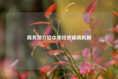 商务部介绍中美经贸磋商机制  第1张