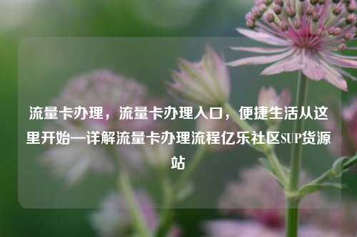 流量卡办理，流量卡办理入口，便捷生活从这里开始—详解流量卡办理流程亿乐社区SUP货源站  第1张