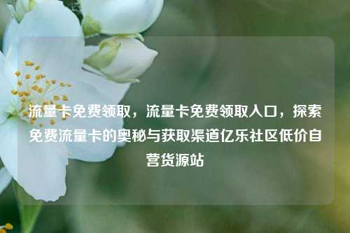 流量卡免费领取，流量卡免费领取入口，探索免费流量卡的奥秘与获取渠道亿乐社区低价自营货源站  第1张