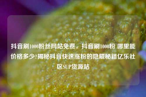 抖音刷1000粉丝网站免费	，抖音刷1000粉 哪里能价格多少?揭秘抖音快速涨粉的隐藏秘籍亿乐社区SUP货源站  第1张