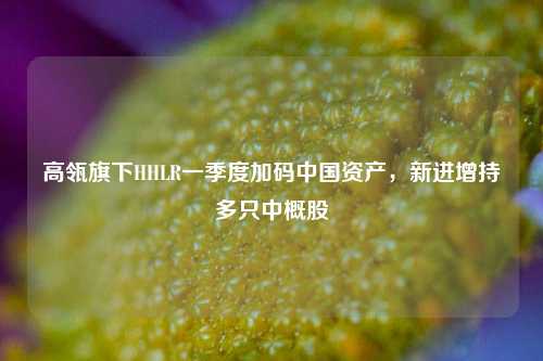高瓴旗下HHLR一季度加码中国资产	，新进增持多只中概股  第1张