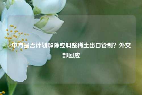 中方是否计划解除或调整稀土出口管制？外交部回应  第1张