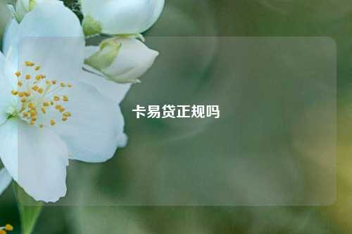 卡易贷正规吗  第1张
