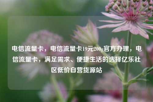 电信流量卡，电信流量卡19元200g官方办理，电信流量卡	，满足需求、便捷生活的选择亿乐社区低价自营货源站  第1张