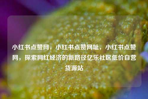 小红书点赞网，小红书点赞网址	，小红书点赞网，探索网红经济的新路径亿乐社区低价自营货源站  第1张