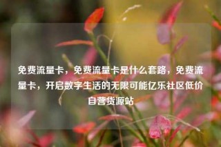 免费流量卡，免费流量卡是什么套路，免费流量卡，开启数字生活的无限可能亿乐社区低价自营货源站
