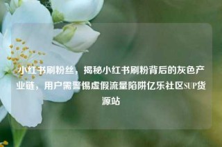 小红书刷粉丝，揭秘小红书刷粉背后的灰色产业链，用户需警惕虚假流量陷阱亿乐社区SUP货源站