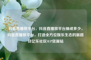 抖音直播放平台，抖音直播放平台抽成多少，抖音直播放平台，打造全方位娱乐生态的新路径亿乐社区SUP货源站