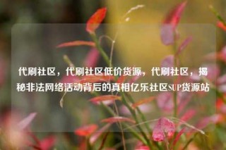 代刷社区，代刷社区低价货源，代刷社区，揭秘非法网络活动背后的真相亿乐社区SUP货源站