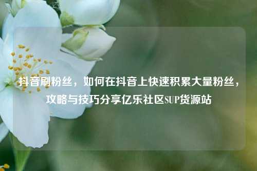 抖音刷粉丝，如何在抖音上快速积累大量粉丝，攻略与技巧分享亿乐社区SUP货源站  第1张