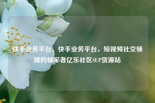 快手业务平台，快手业务平台	，短视频社交领域的领军者亿乐社区SUP货源站  第1张