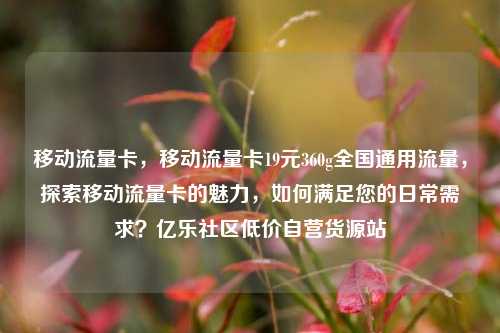 移动流量卡，移动流量卡19元360g全国通用流量，探索移动流量卡的魅力	，如何满足您的日常需求？亿乐社区低价自营货源站  第1张