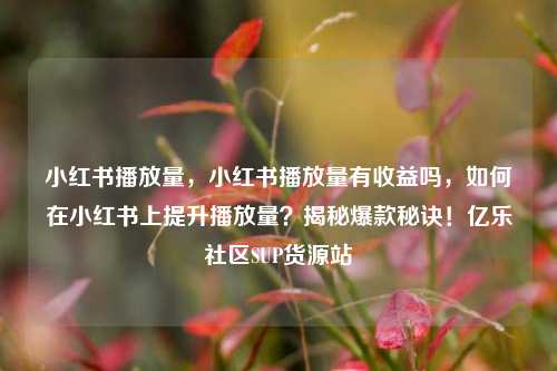 小红书播放量，小红书播放量有收益吗	，如何在小红书上提升播放量？揭秘爆款秘诀！亿乐社区SUP货源站  第1张