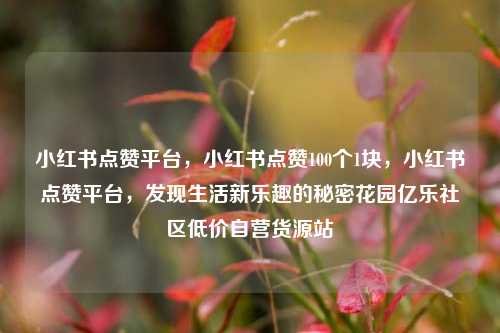 小红书点赞平台，小红书点赞100个1块，小红书点赞平台，发现生活新乐趣的秘密花园亿乐社区低价自营货源站  第1张