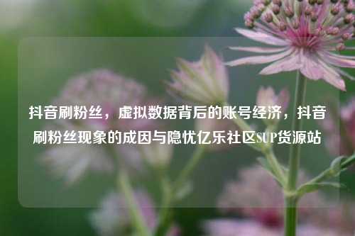 抖音刷粉丝，虚拟数据背后的账号经济，抖音刷粉丝现象的成因与隐忧亿乐社区SUP货源站  第1张