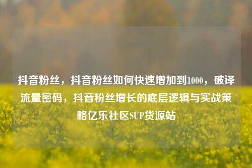 抖音粉丝，抖音粉丝如何快速增加到1000，破译流量密码	，抖音粉丝增长的底层逻辑与实战策略亿乐社区SUP货源站  第1张